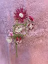 IMG_3038.webp